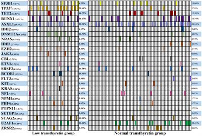 Decreased transthyretin predicts a poor prognosis in primary myelodysplastic syndrome